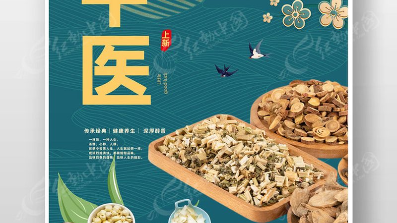 商用中药调理机：揭秘其型号与报价背后的秘密