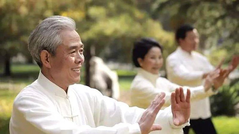以下是一些在市场上口碑较好的中药调理药材批发品牌：